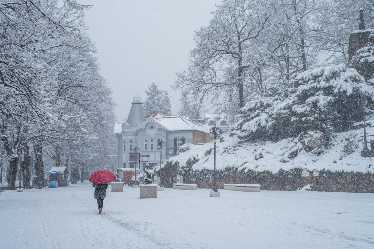 Vila Emilia Врнячка-Баня Экстерьер фото