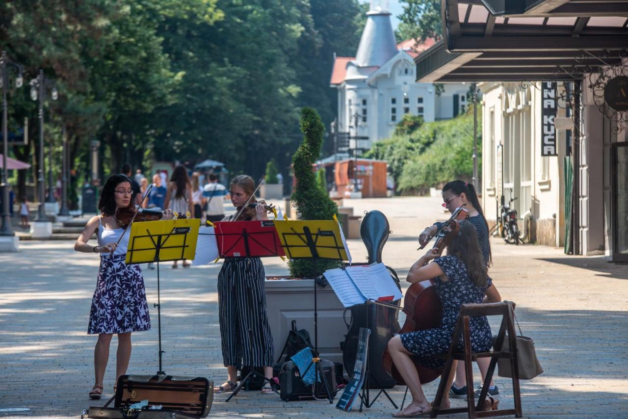 Vila Emilia Врнячка-Баня Экстерьер фото